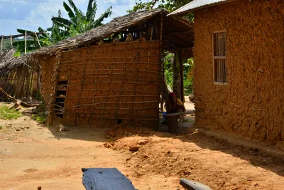 DSC_5373 (Large).JPG